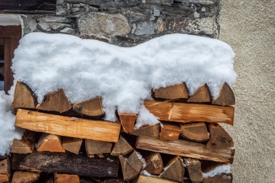 Neige sur le bois